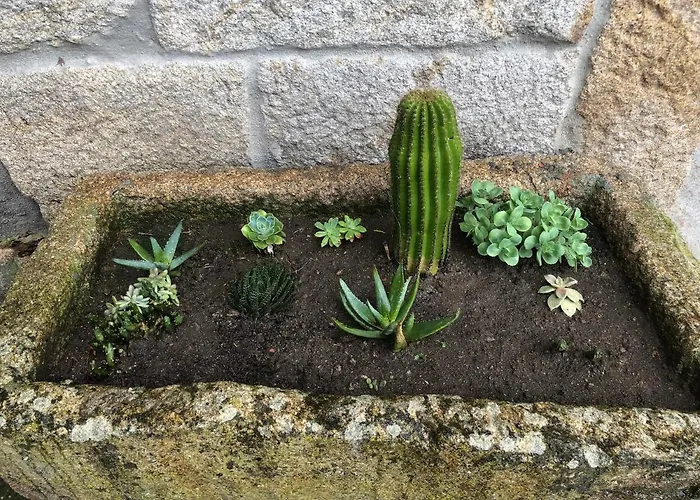 Kır Evi Casa Andurina Ourense